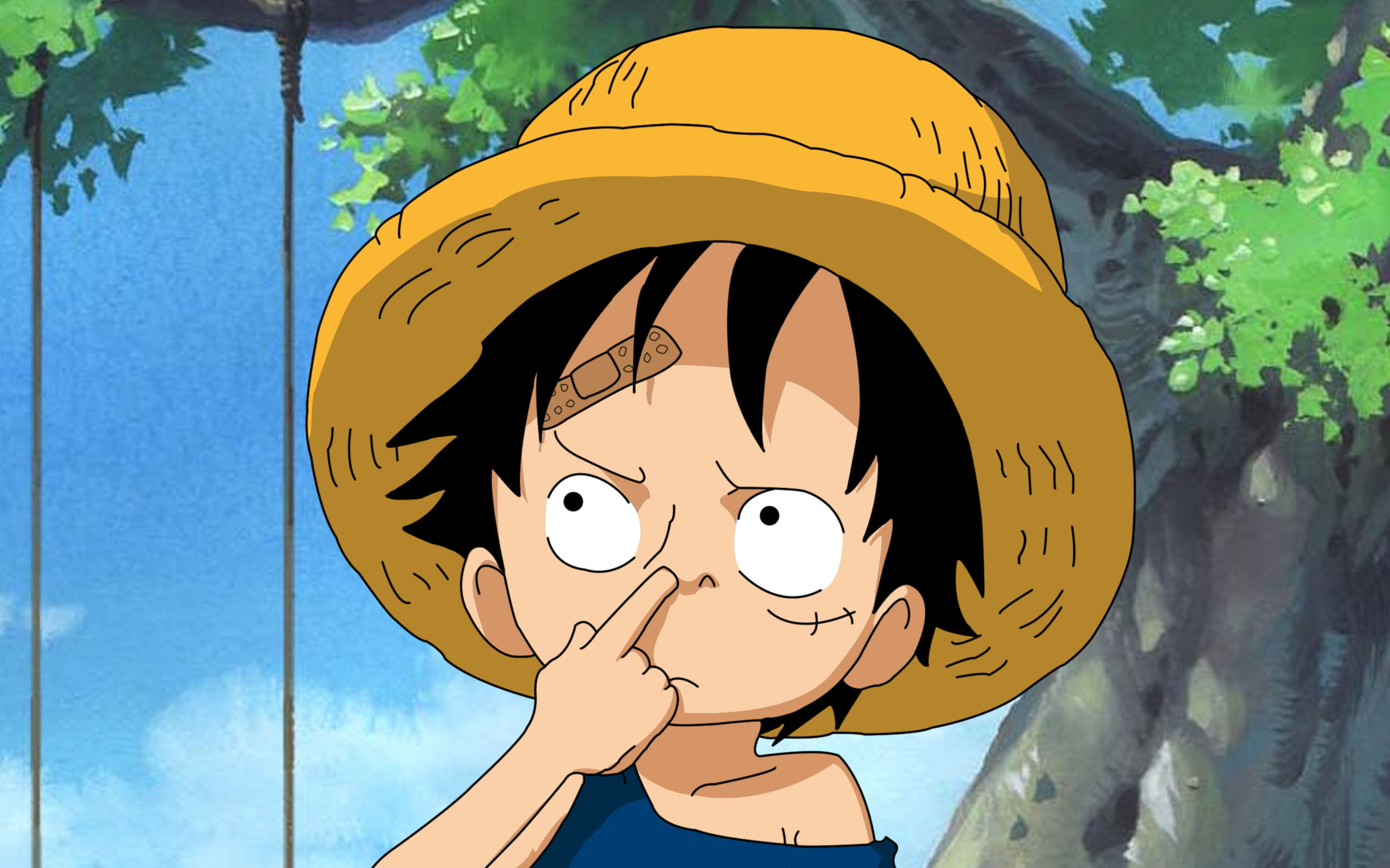 0xNofa's Lens avatar