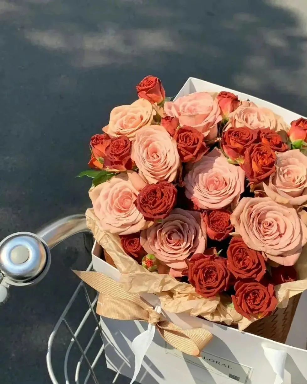 O5iOMHj (o5iomhj.lens) Lens social identity (.lens handle) PFP