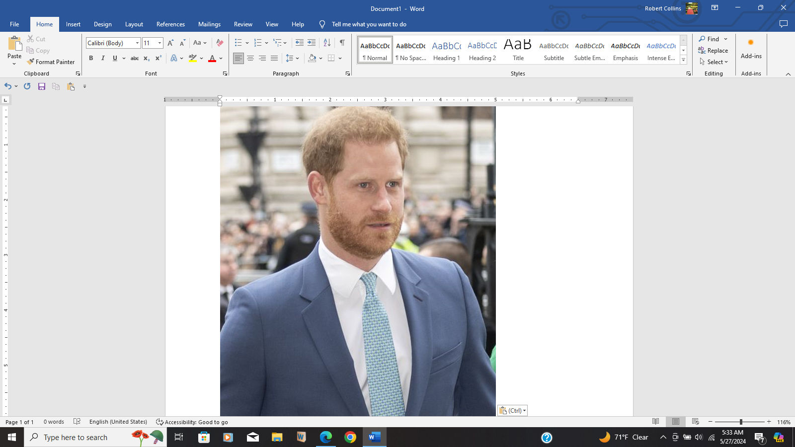 The Royal Family's Lens avatar
