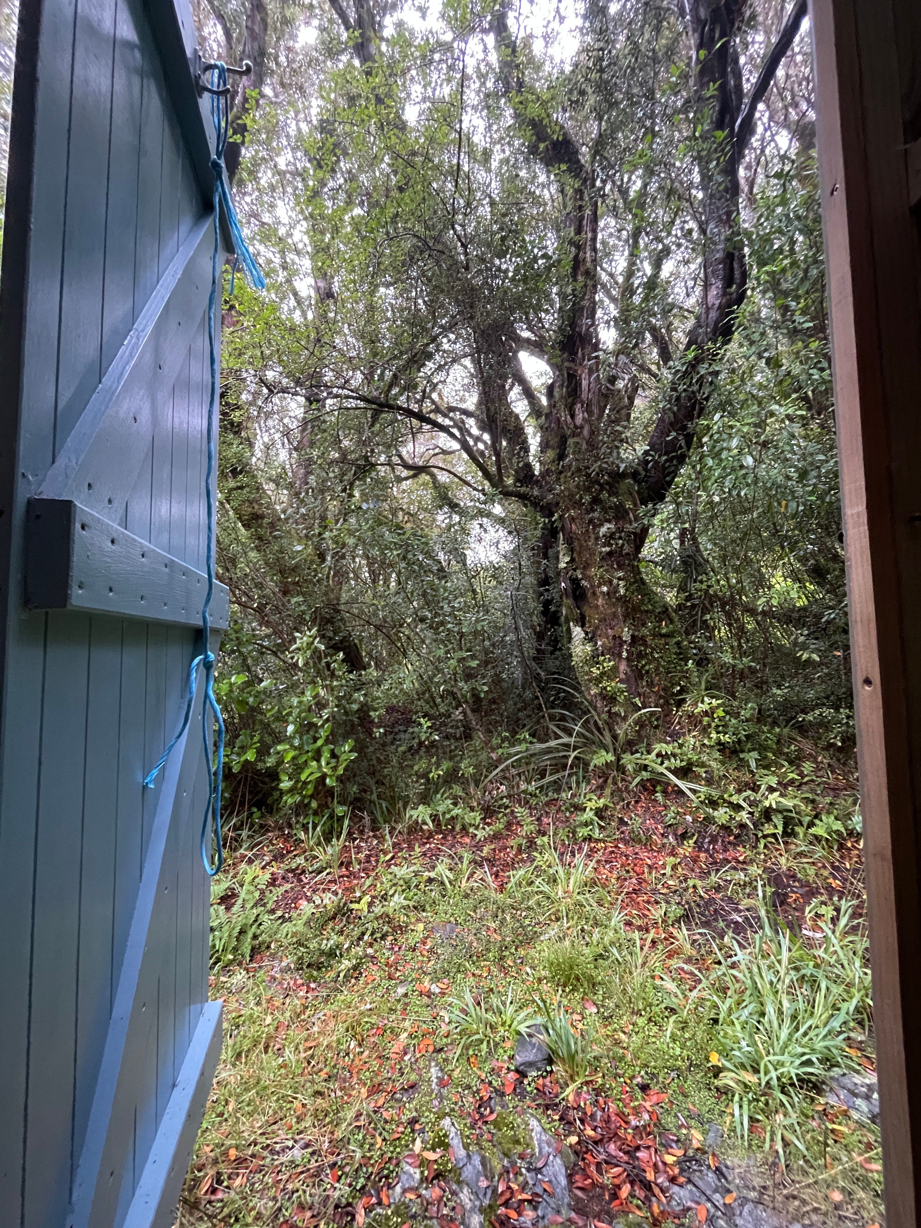 Fin (proelium.lens) Lens social identity (.lens handle) PFP