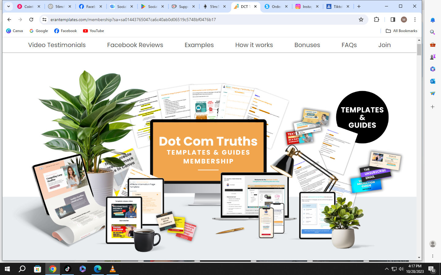 Oreothecat (oreothecat.lens) Lens social identity (.lens handle) PFP