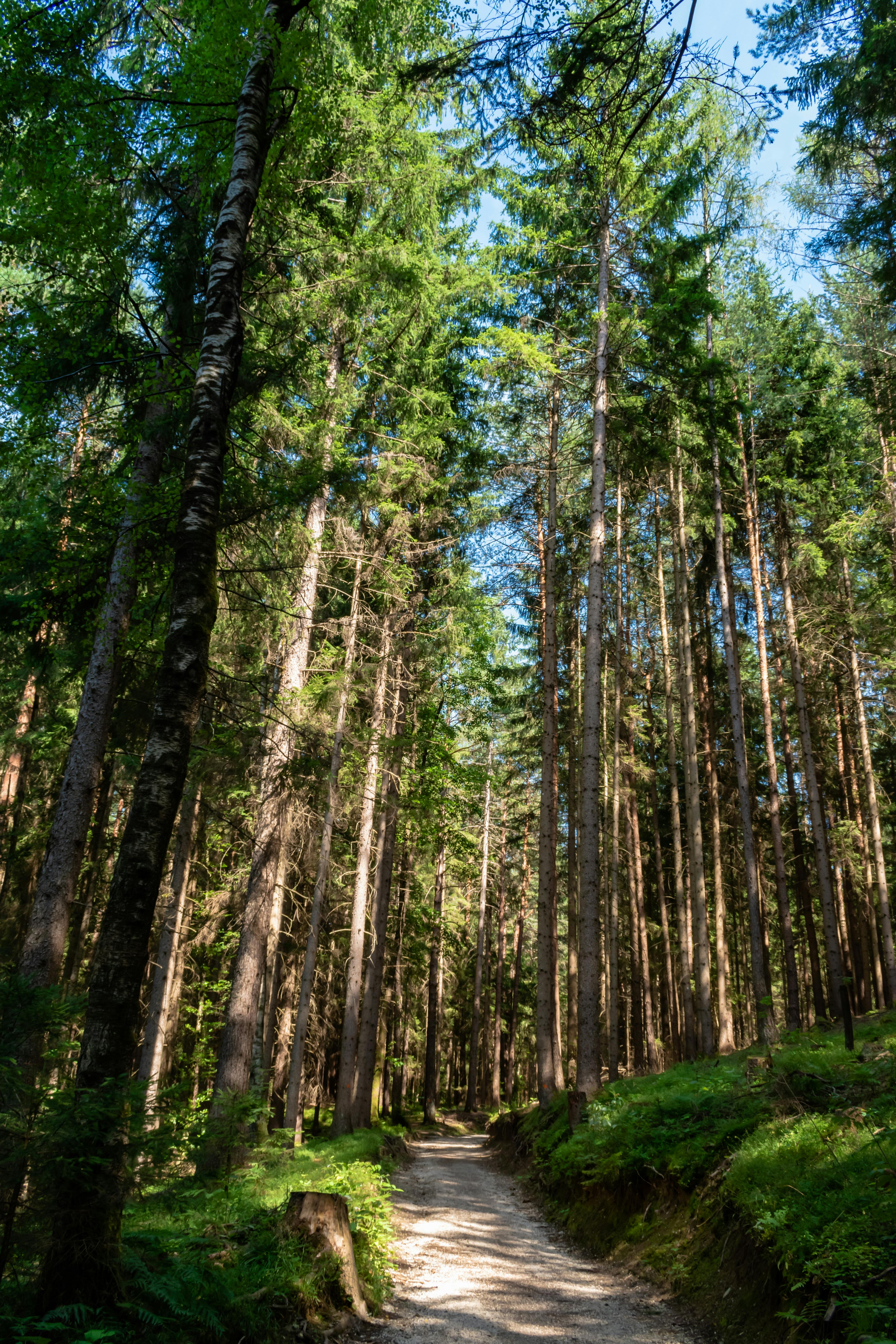 tumare44.lens Lens social identity (.lens handle) PFP