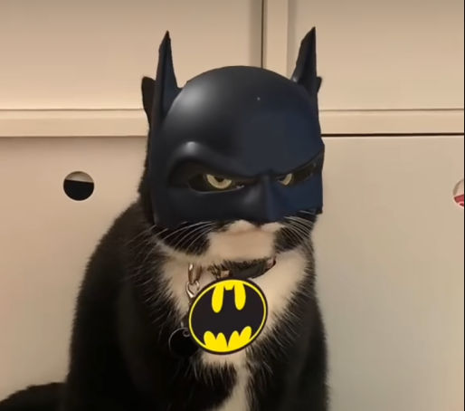 Cranky's Lens avatar