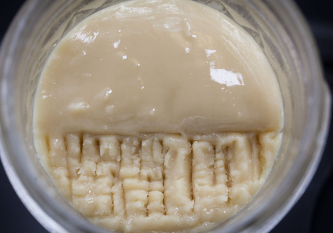 gfreesie (gfreesie.lens) Lens social identity (.lens handle) PFP