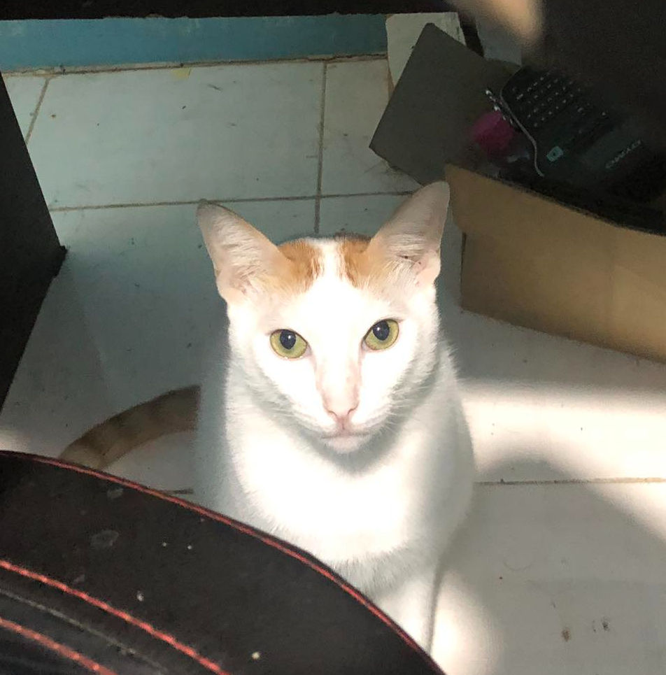 azimuthph's Lens avatar