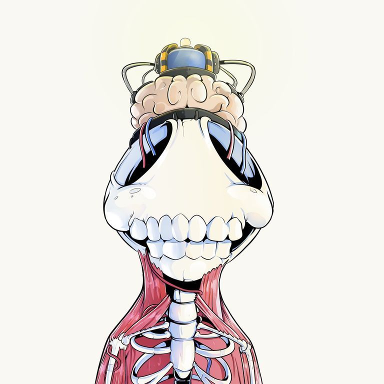 Yasser's Lens avatar