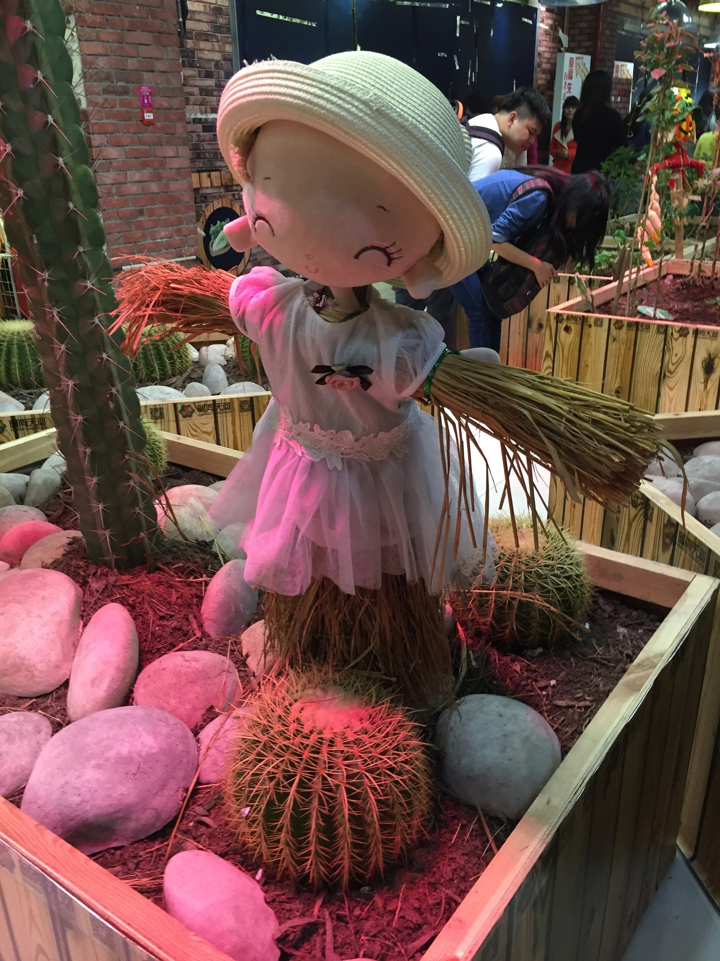 shreeshyam (shreeshyam.lens) Lens social identity (.lens handle) PFP