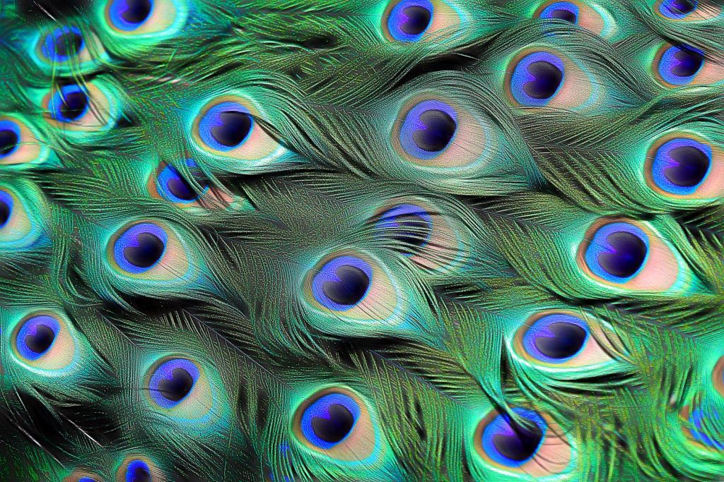 robinwood.base.eth Basenames (.base.eth domains) based on ENS PFP