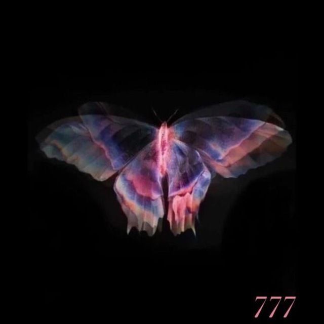 Niffera (niffera.lens) Lens social identity (.lens handle) PFP