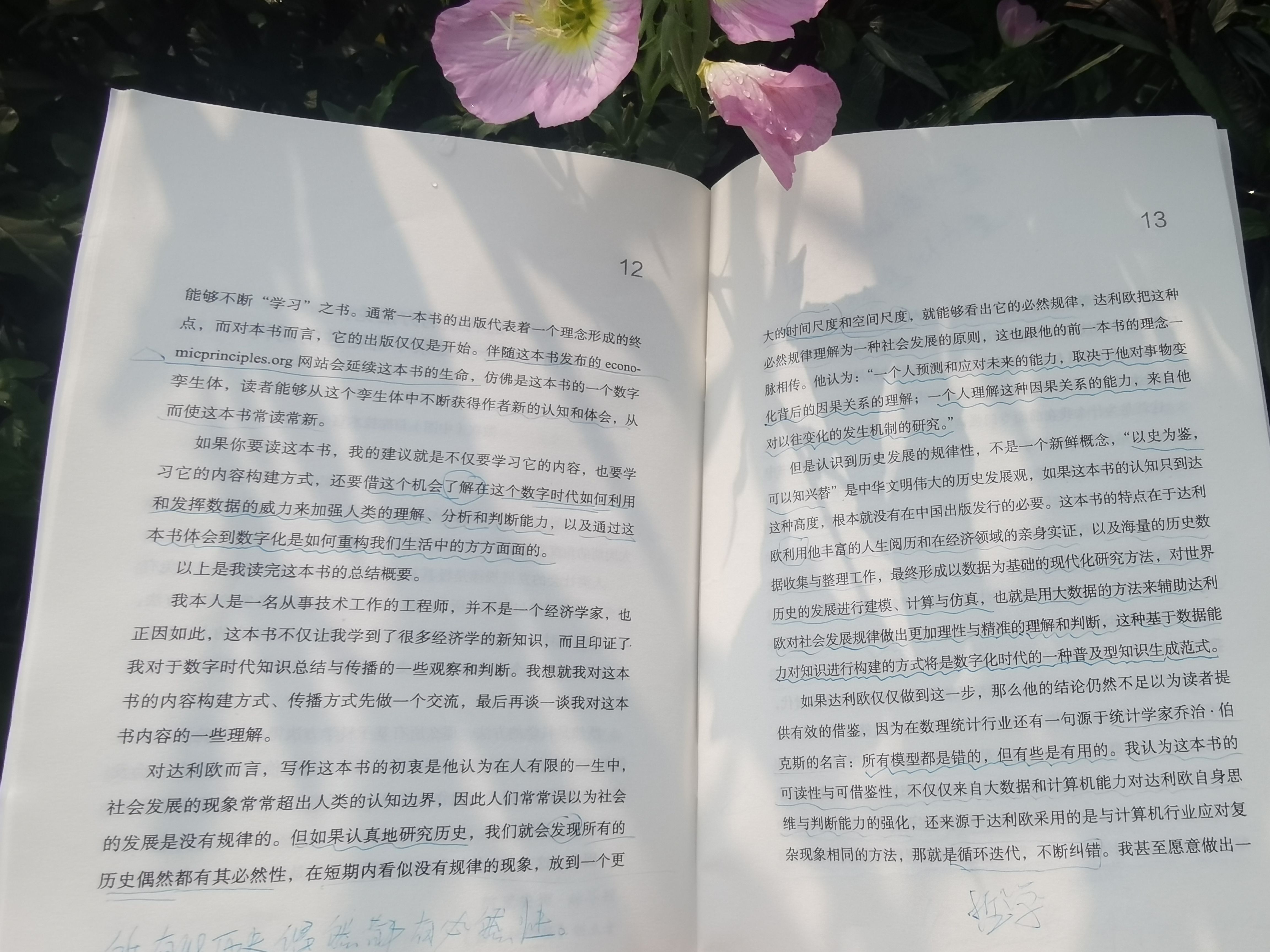 Book (asdf1234.lens) Lens social identity (.lens handle) PFP