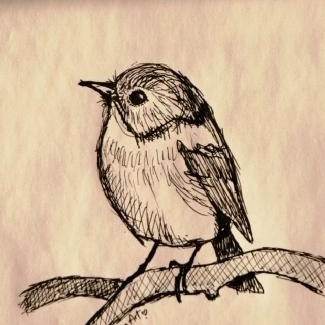 demozh (demozh.lens) Lens social identity (.lens handle) PFP