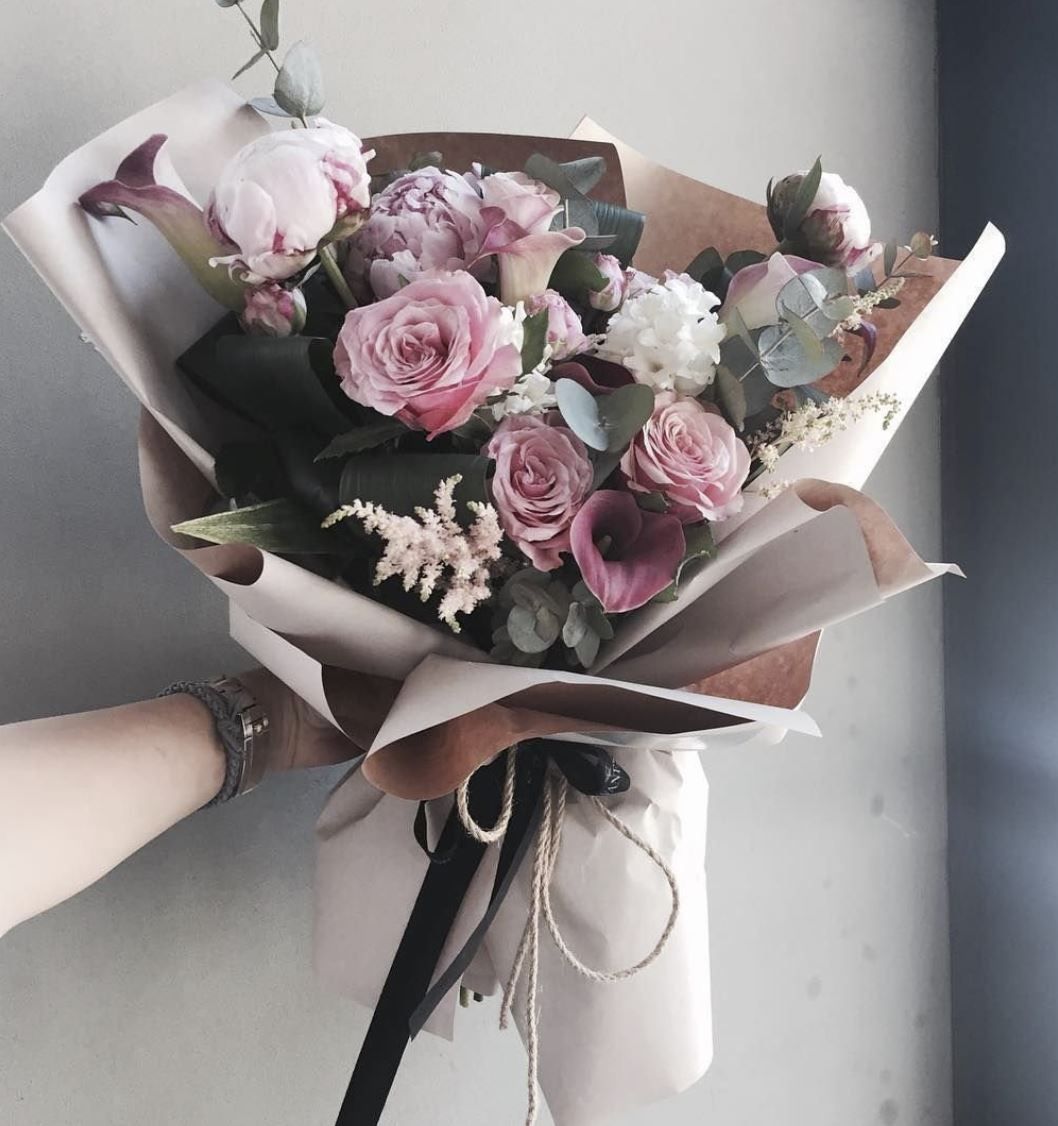 xollo (xollo.lens) Lens social identity (.lens handle) PFP