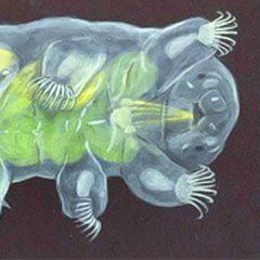 Will Strinz (wstrinz.lens) Lens social identity (.lens handle) PFP