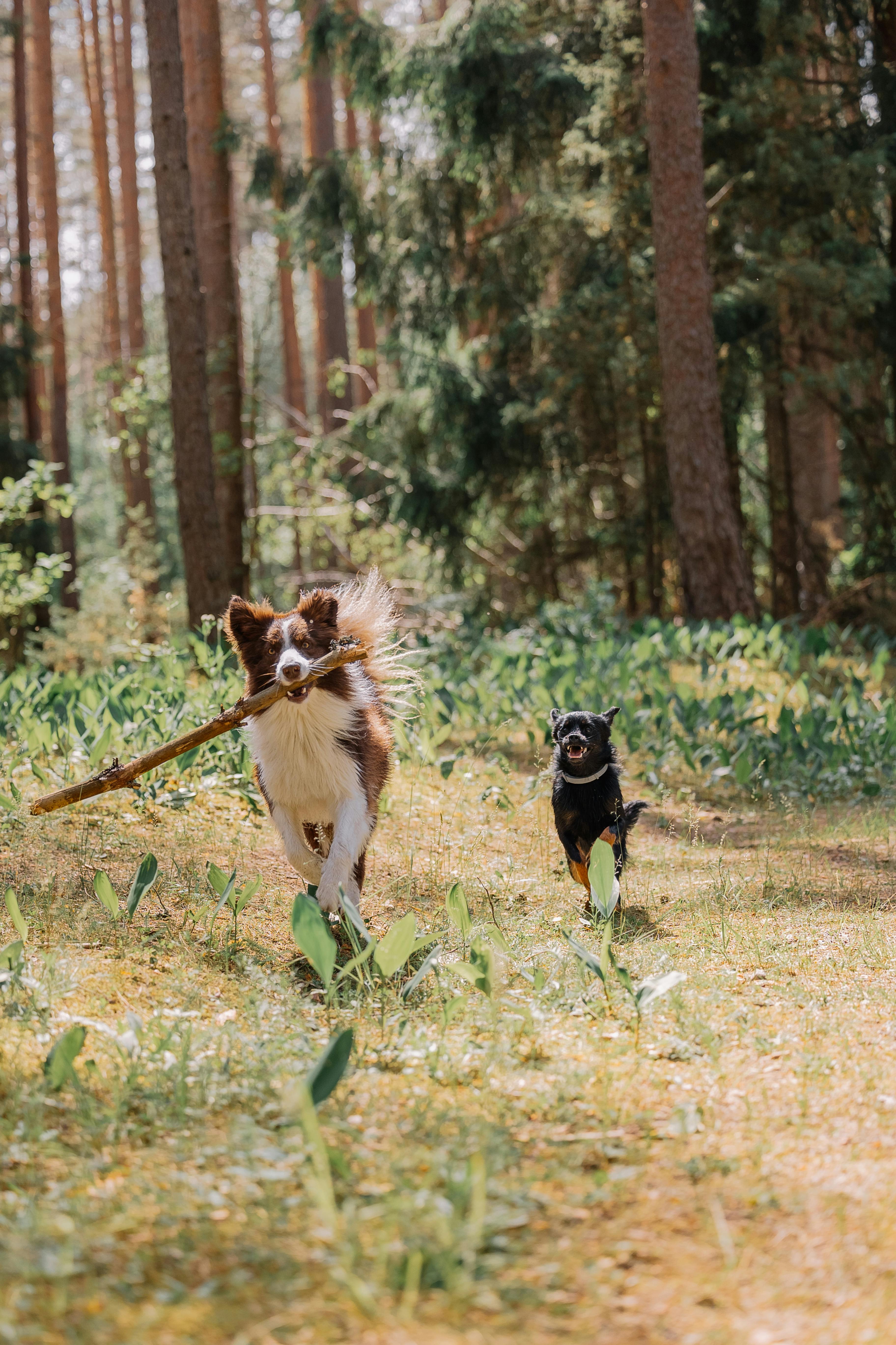 kyra (vvfrtg.lens) Lens social identity (.lens handle) PFP