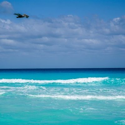 wangzhan (zhanwang334.lens) Lens social identity (.lens handle) PFP