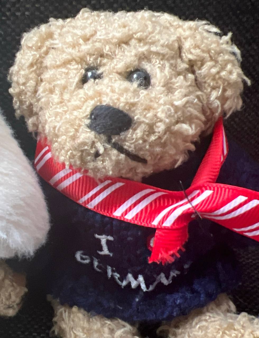 Mr. Richard (richard_bear.lens) Lens social identity (.lens handle) PFP