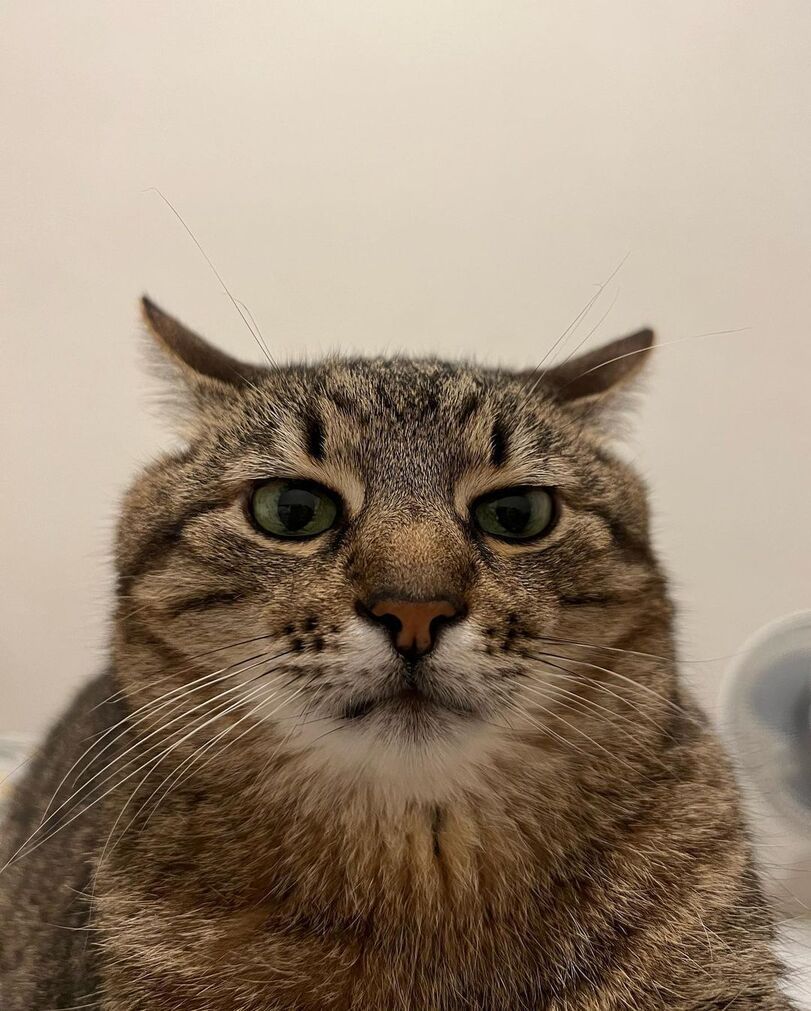 EasyCoinInfo (easycoininfo.lens) Lens social identity (.lens handle) PFP