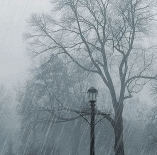 Moonro (moonro.lens) Lens social identity (.lens handle) PFP