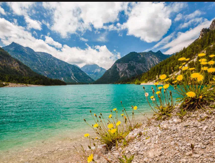 Mason (mihara2020.lens) Lens social identity (.lens handle) PFP