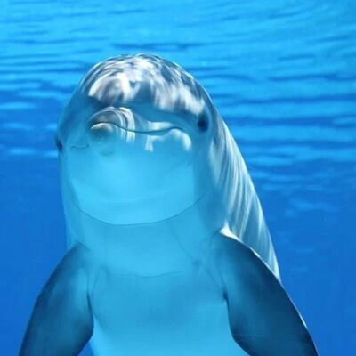 Enimada's Lens avatar