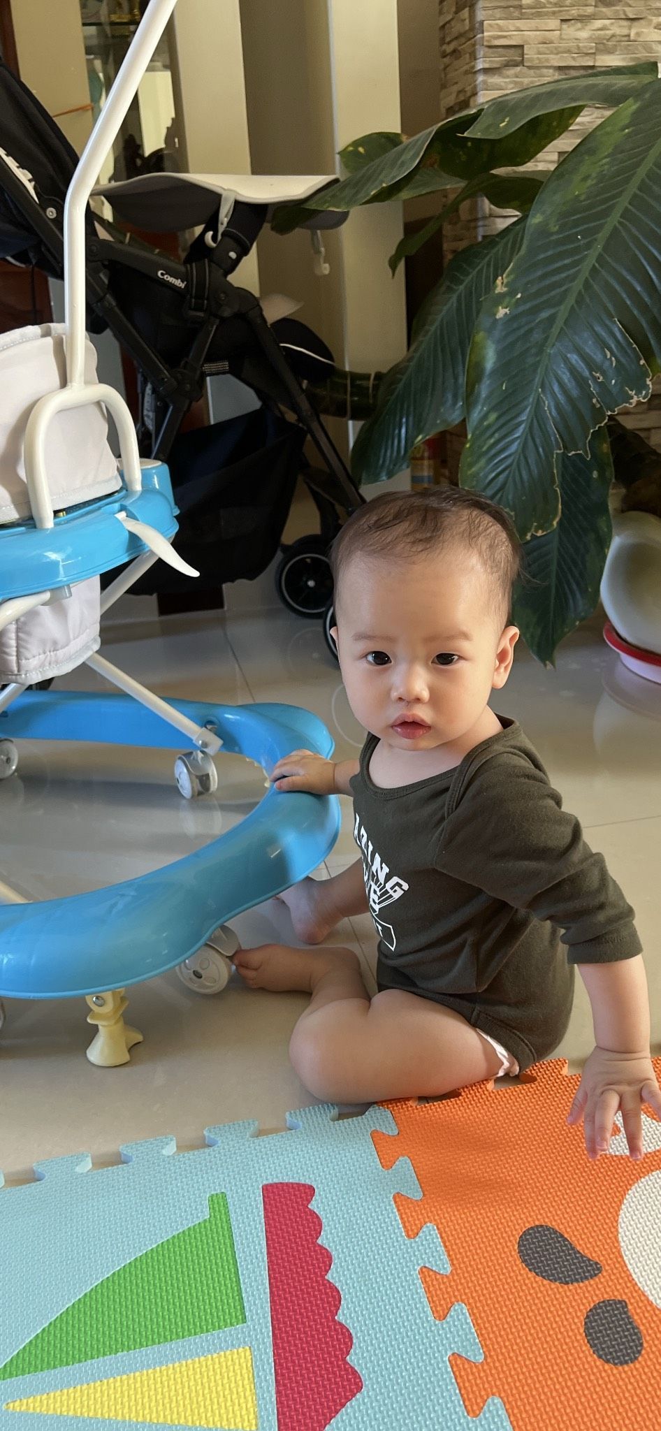hoang anh's Lens avatar