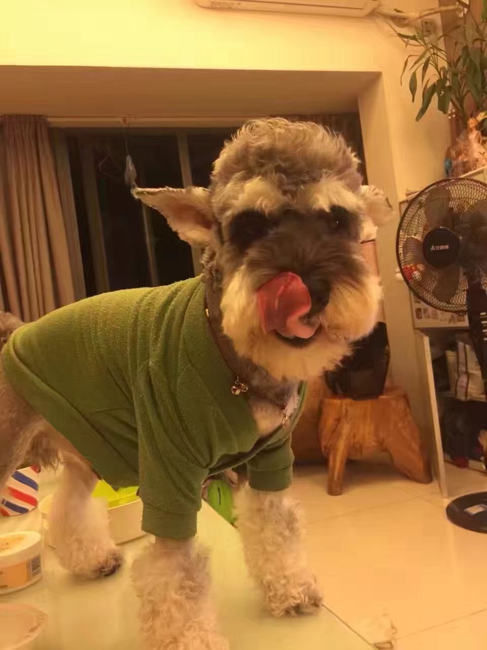 bioc (tdjdkjyl.lens) Lens social identity (.lens handle) PFP