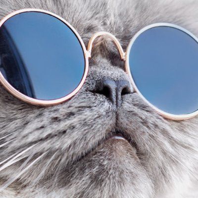 elnaz (elnaz80.lens) Lens social identity (.lens handle) PFP