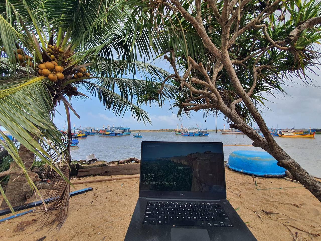 huubao123 (gladyta.lens) Lens social identity (.lens handle) PFP