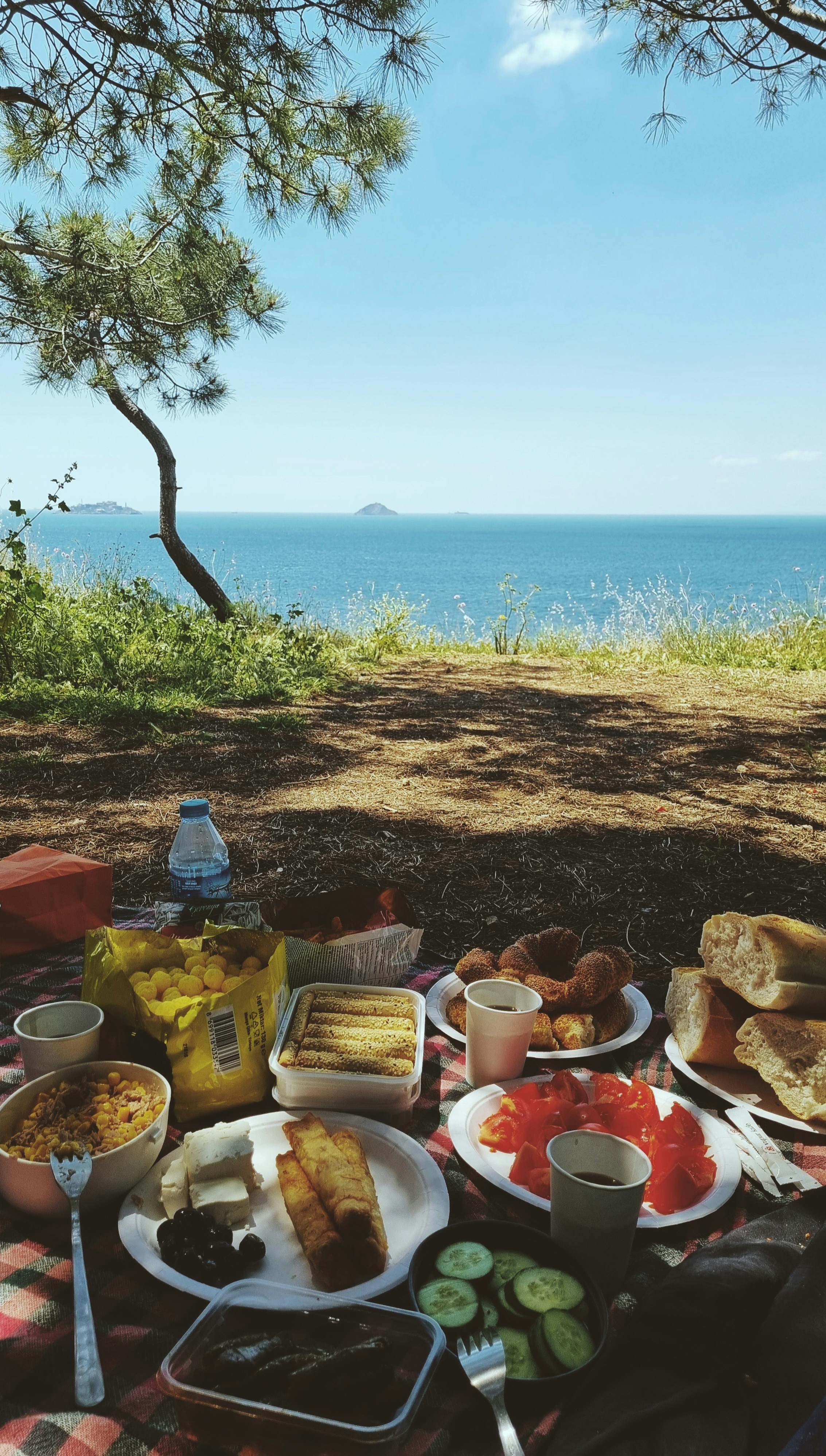 mila (ollkjnmi.lens) Lens social identity (.lens handle) PFP