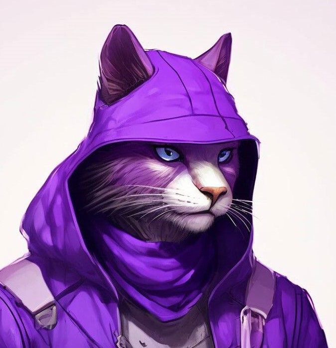 Insaf's Lens avatar