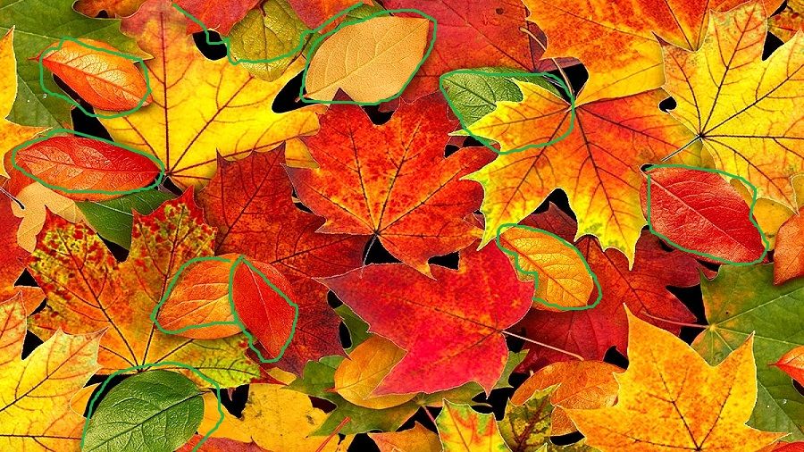 zbieramyliscie (zbieramyliscie.lens) Lens social identity (.lens handle) PFP