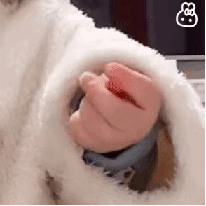 rKqe2VLu (rkqe2vlu.lens) Lens social identity (.lens handle) PFP