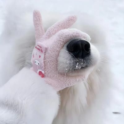 Noel Benedict (noelbenedict.lens) Lens social identity (.lens handle) PFP