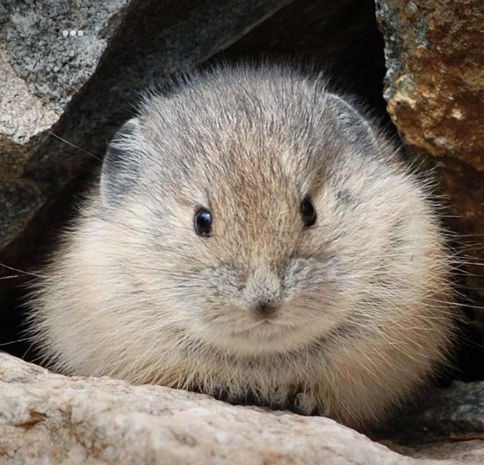 Oleg (kuolig.lens) Lens social identity (.lens handle) PFP