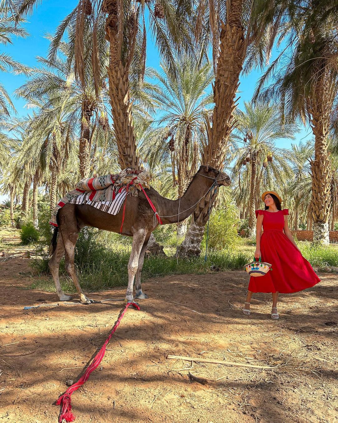 📍Sahara Algérien - Désert Algérien, Algeria 🇩🇿