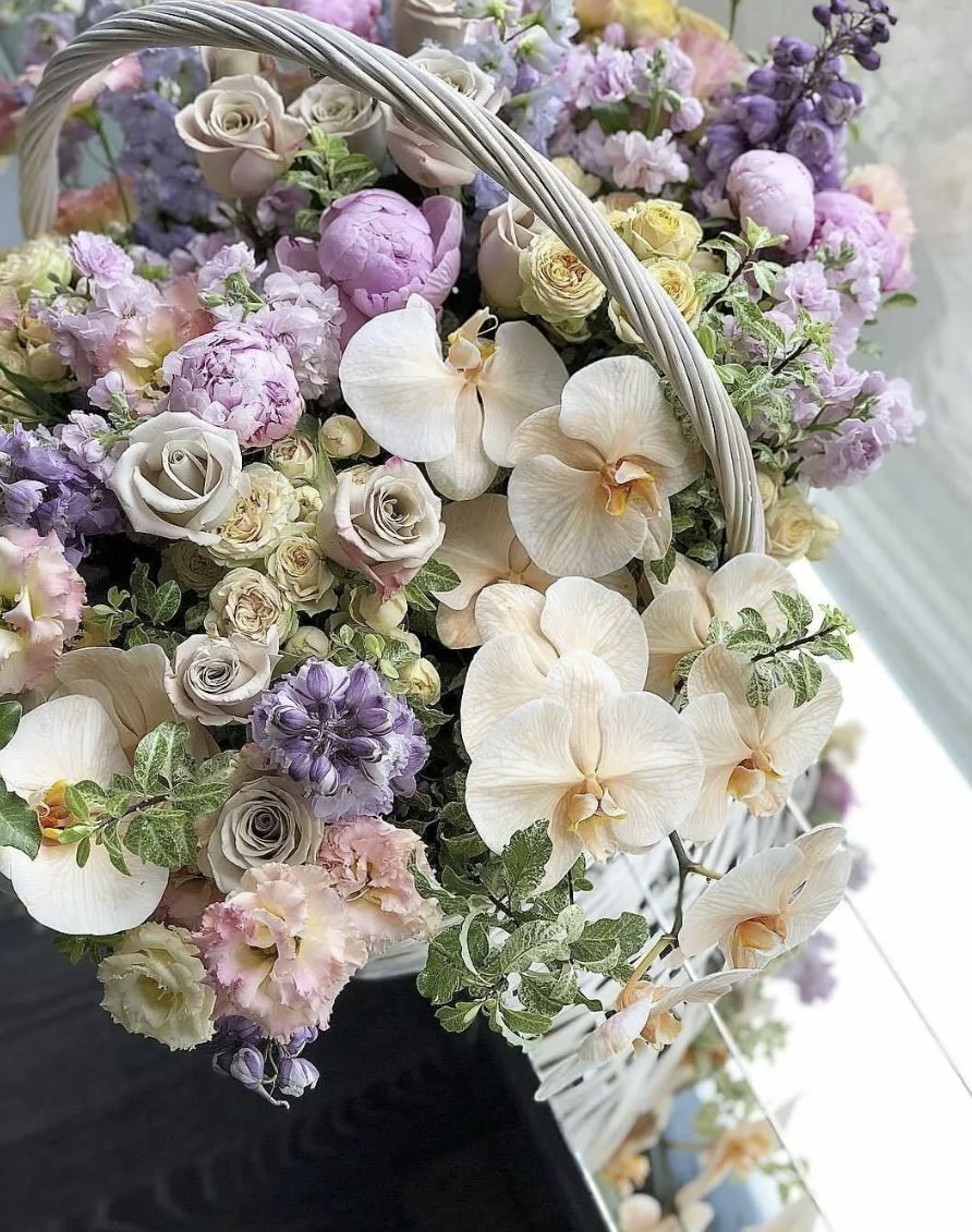 thepinkphoenix.linea.eth Linea Name Service (.linea.eth domains) based on ENS PFP