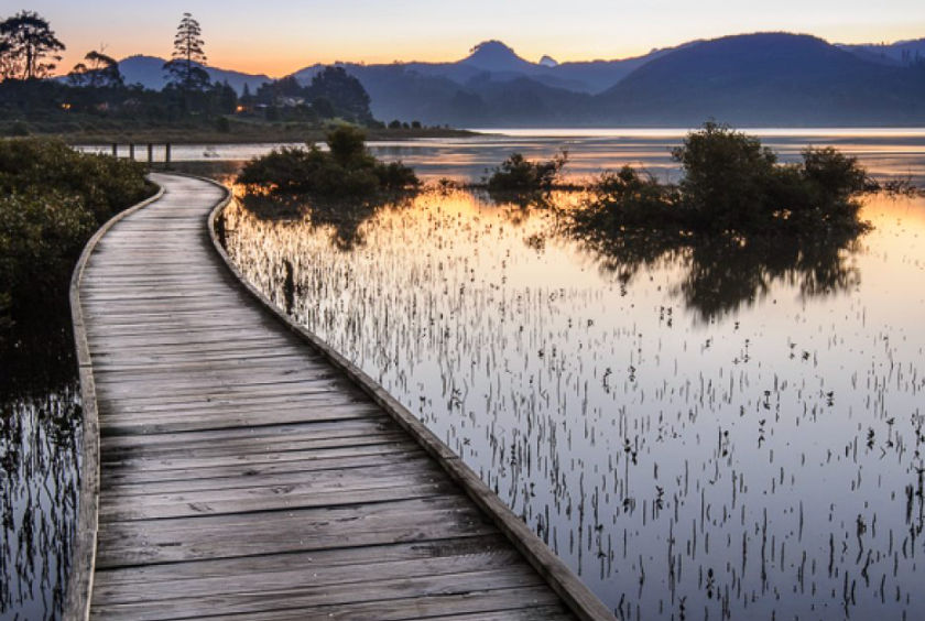 muol (changment.lens) Lens social identity (.lens handle) PFP