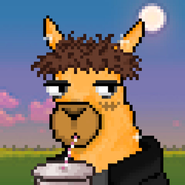 BumpyTale's Lens avatar