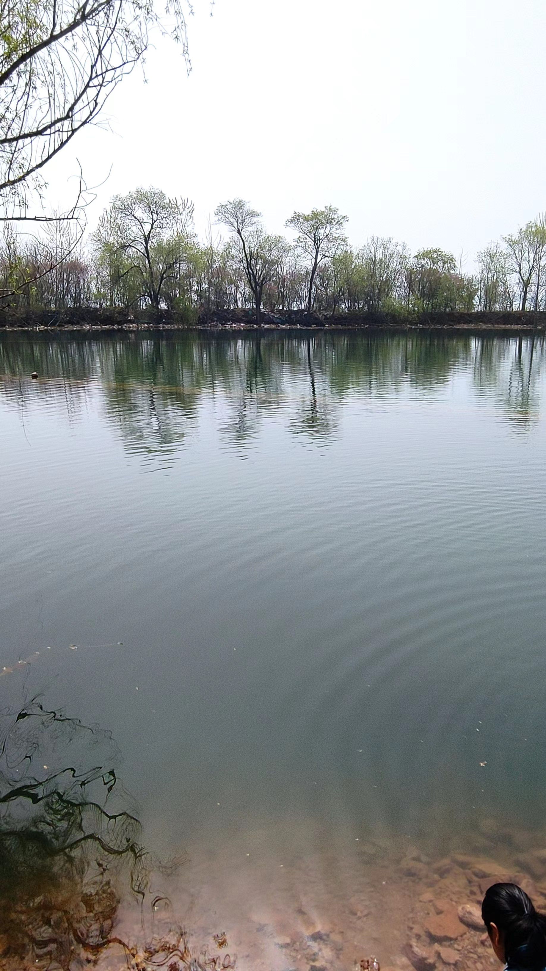 kankun (kankun.lens) Lens social identity (.lens handle) PFP