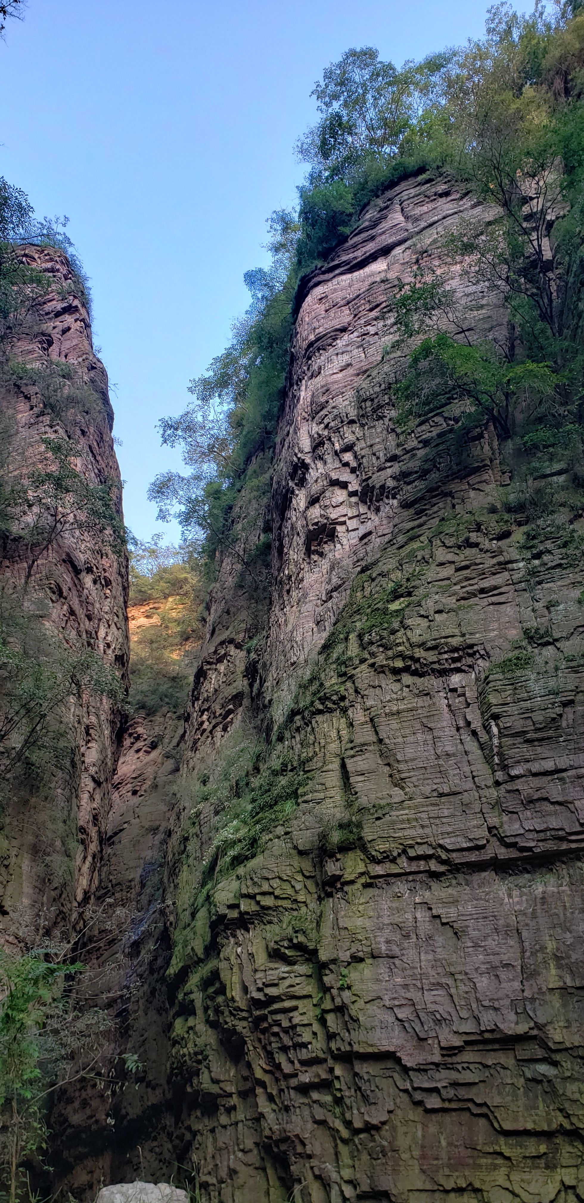 c1b2 (c1b2z.lens) Lens social identity (.lens handle) PFP