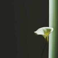 workreduce (workreduce.lens) Lens social identity (.lens handle) PFP