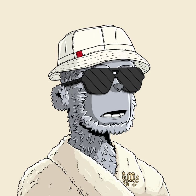 Render's Lens avatar