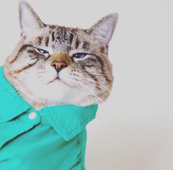 Tagilus (saifoyoda.lens) Lens social identity (.lens handle) PFP