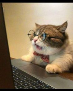 Davydo (geidar.lens) Lens social identity (.lens handle) PFP