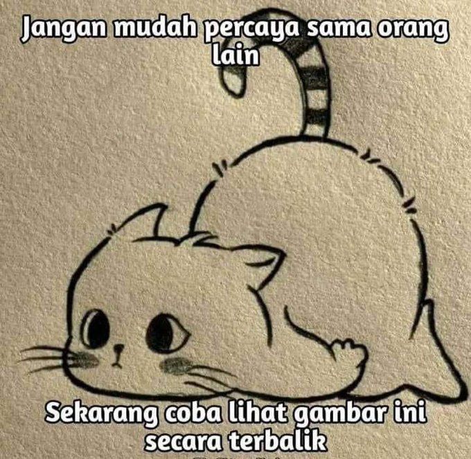 hopea $BONSAI 🌳 (hopea.lens) Lens social identity (.lens handle) PFP