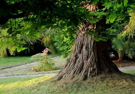 karinasher (karinasher.lens) Lens social identity (.lens handle) PFP