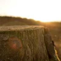 discussionjoin (discussionjoin.lens) Lens social identity (.lens handle) PFP