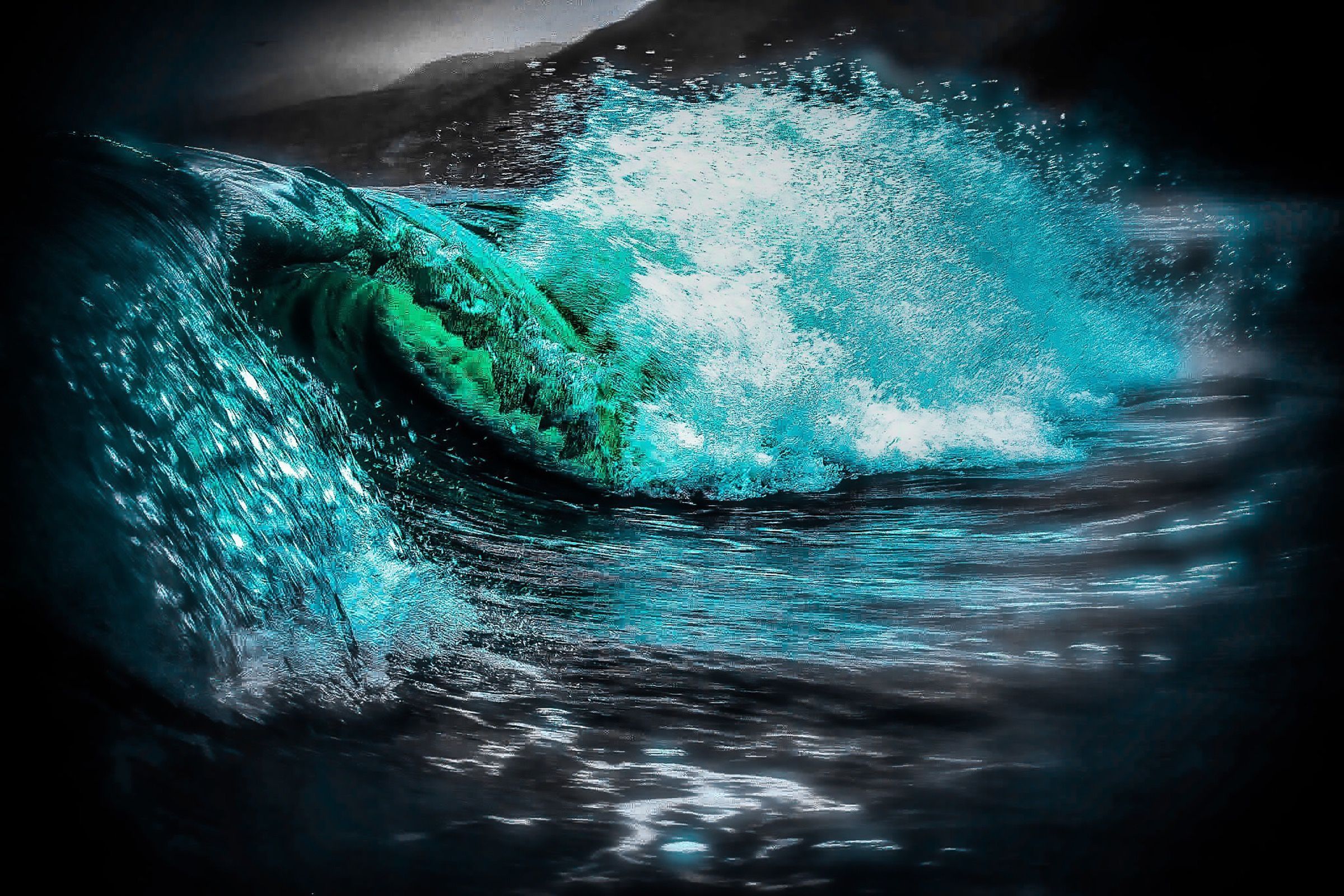 SnowBunnyDoge (snowbunnydoge.lens) Lens social identity (.lens handle) PFP