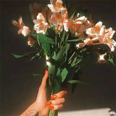 evelyr (evelyr.lens) Lens social identity (.lens handle) PFP