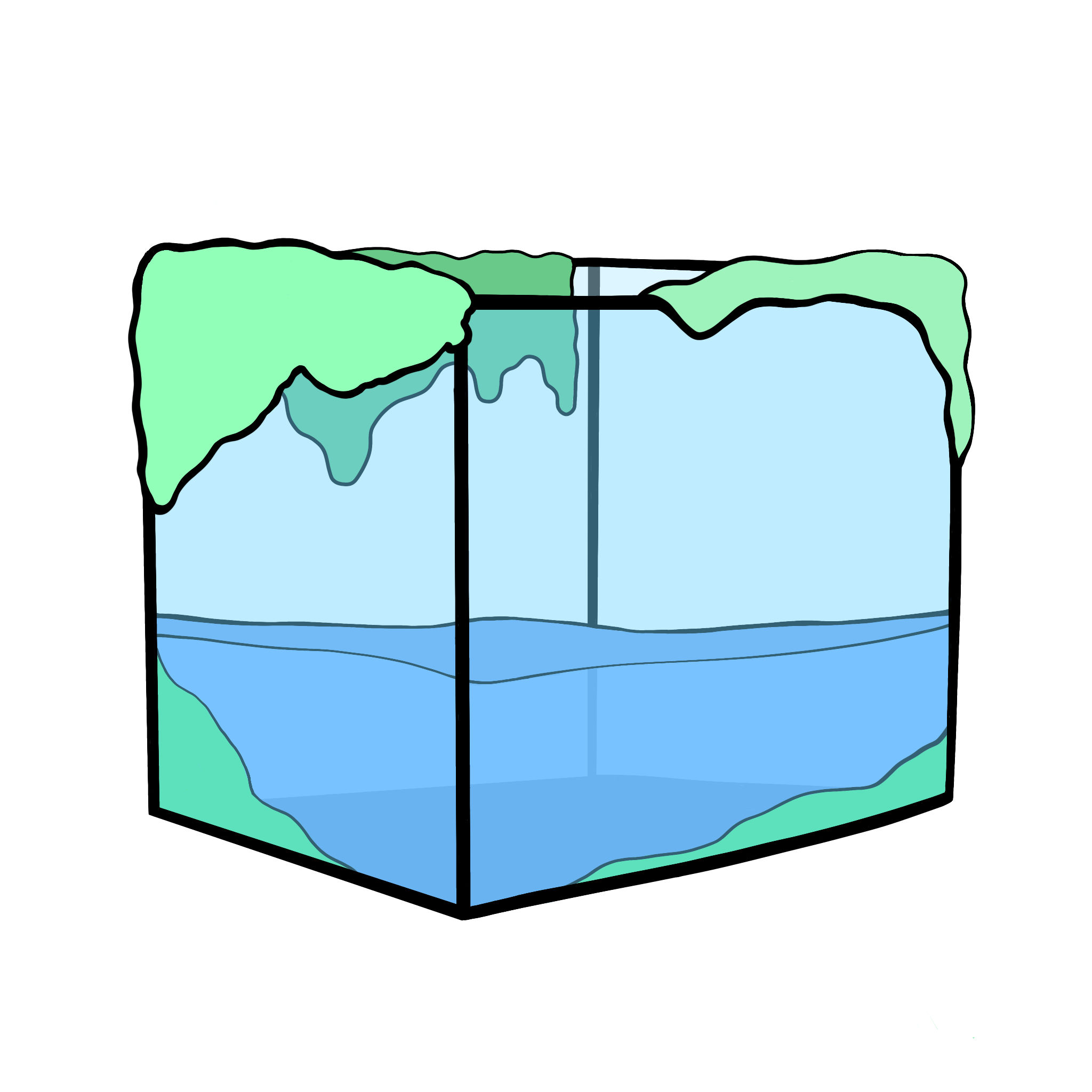 sea's Lens avatar
